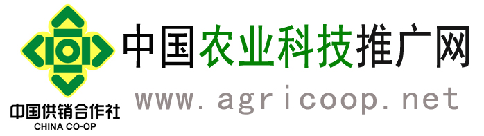 中国农业科技推广网